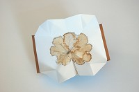 <a href="https://www.museenkoeln.de/kunst-und-museumsbibliothek/default.aspx?s=9618" target="_blank">Odine Lang</a>