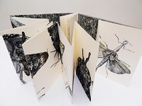 <a href="https://www.museenkoeln.de/kunst-und-museumsbibliothek/default.aspx?s=9576" target="_blank">Atelier Recto-Verso</a>