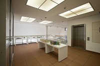 &copy; Friederun Friederichs, Foto: Rheinisches Bildarchiv K&ouml;ln, Jonas Klein