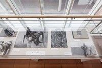 &copy; Christoph Mauler, Foto: Rheinisches Bildarchiv K&ouml;ln, Felix Sandmann