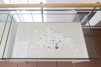 &copy; Foto: Rheinisches Bildarchiv K&ouml;ln<br />Nina Siefke