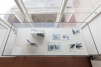 &copy; Foto: Rheinisches Bildarchiv K&ouml;ln<br />Nina Siefke