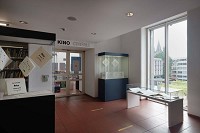 Foto:&copy; Rheinisches Bildarchiv / Marleen Scholten